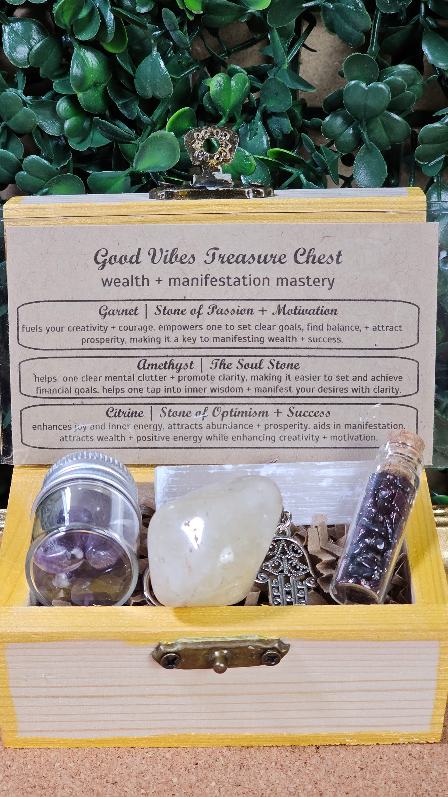 Wealth and Manifestation Mastery - Treasure Chest