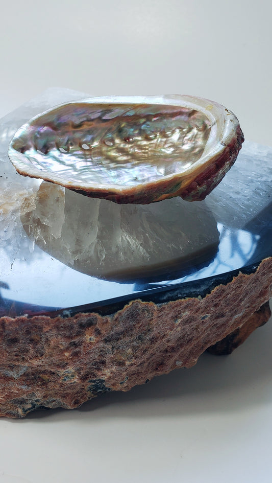 Natural Abalone Shell is fire proof and used to hold smudging tools like sage and incense.