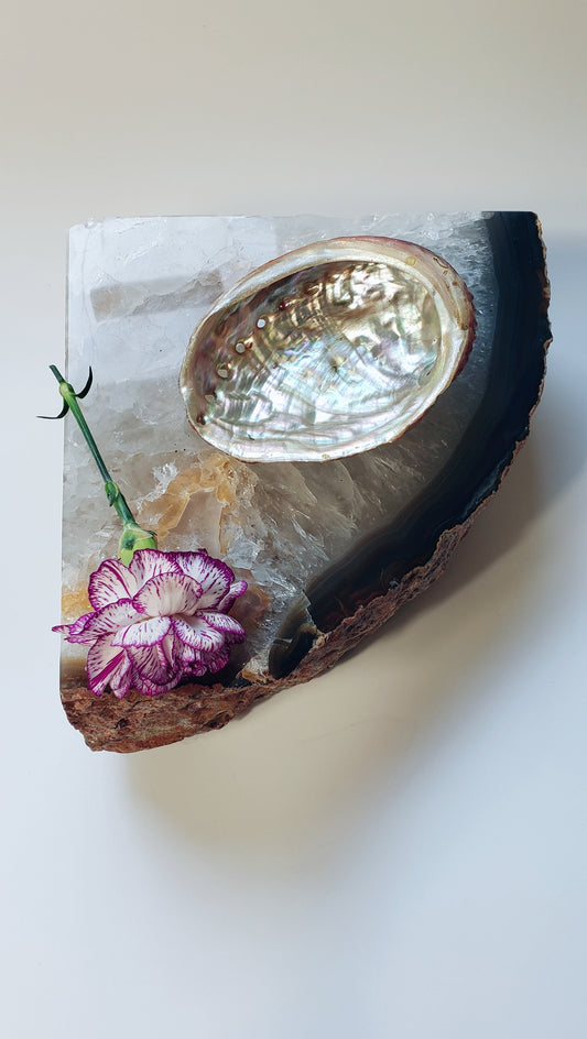 Natural Abalone Shells are also a gemstone, emanating a calming energy.